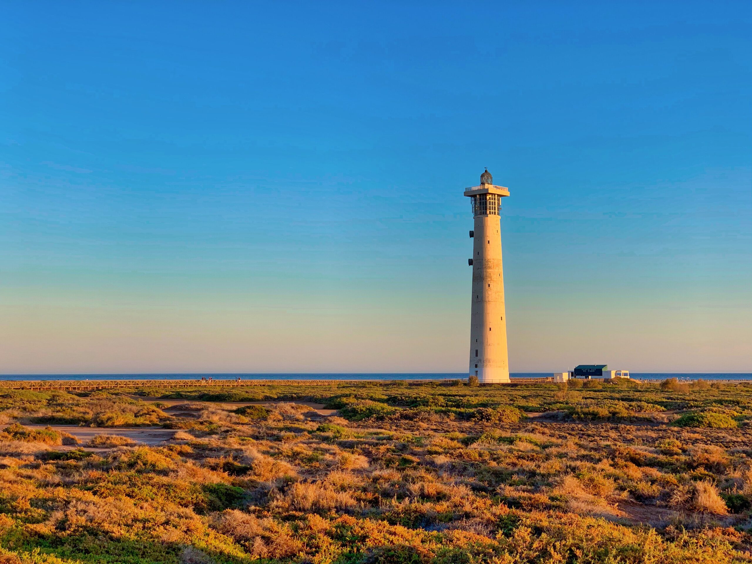 Paisaje de playa mediterránea, con plantas y naturaleza típica de allí. Aparece un faro blanco a la derecha sobre un cielo despejado.